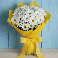 Букет цветов из:  Хризантемы в Нововолково