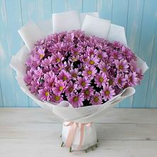 Букет цветов из:  Хризантемы #REPLACE_PRED# Нововолково