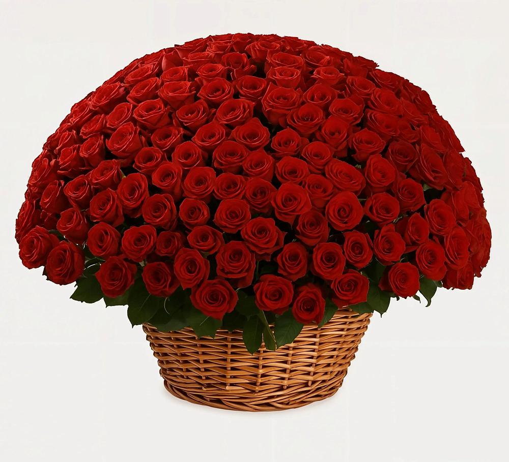 Премиум букет из: Розы в Нововолково