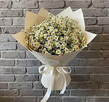 Букет цветов из:  Ромашки в Нововолково