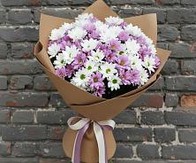 Букет цветов из:  Хризантемы #REPLACE_PRED# Нововолково