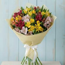 Букет цветов из:  Альстромерии #REPLACE_PRED# Нововолково