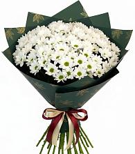 Букет цветов из:  Хризантемы в Нововолково