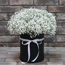 Цветочная композиция из Гипсофила в шляпной коробке в Нововолково
