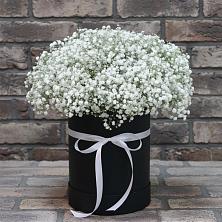 Цветочная композиция из Гипсофила в шляпной коробке в Нововолково