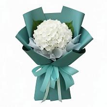 Букет цветов из:  Гортензия #REPLACE_PRED# Нововолково